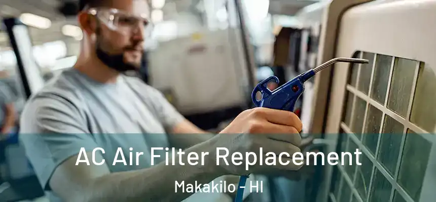  AC Air Filter Replacement Makakilo - HI