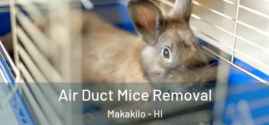  Air Duct Mice Removal Makakilo - HI