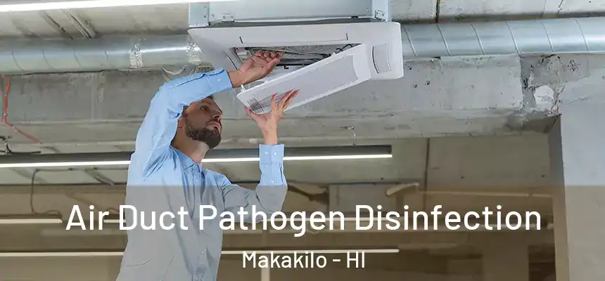  Air Duct Pathogen Disinfection Makakilo - HI