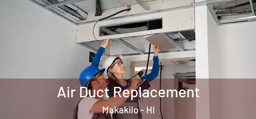  Air Duct Replacement Makakilo - HI