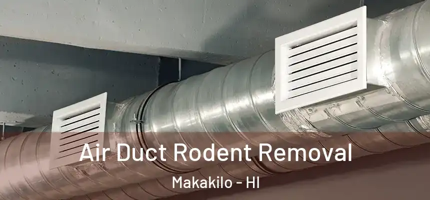  Air Duct Rodent Removal Makakilo - HI