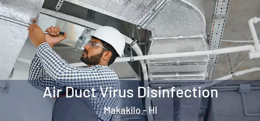  Air Duct Virus Disinfection Makakilo - HI