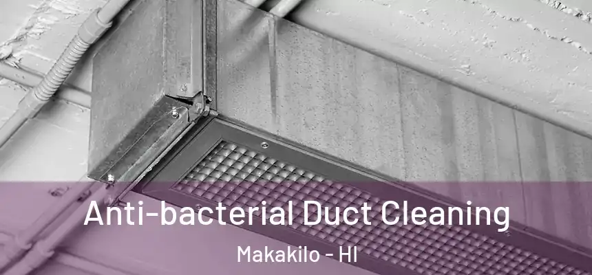  Anti-bacterial Duct Cleaning Makakilo - HI