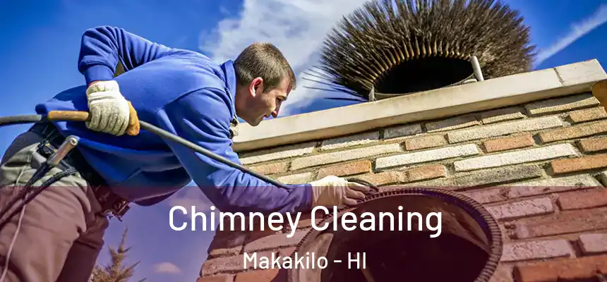  Chimney Cleaning Makakilo - HI
