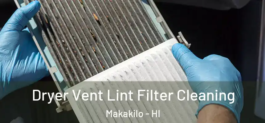  Dryer Vent Lint Filter Cleaning Makakilo - HI