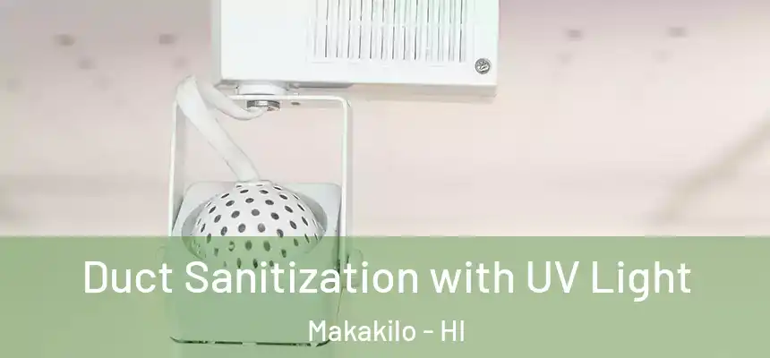  Duct Sanitization with UV Light Makakilo - HI