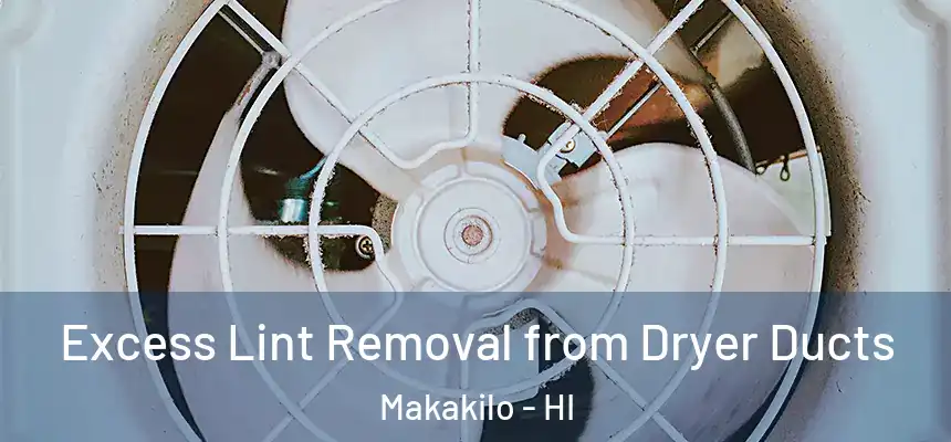  Excess Lint Removal from Dryer Ducts Makakilo - HI