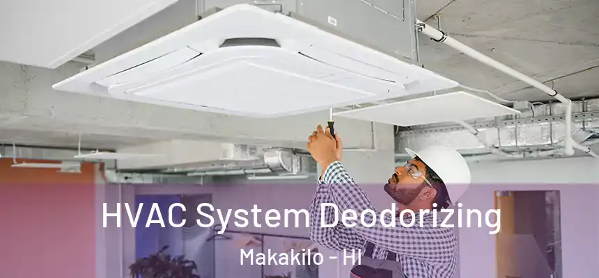  HVAC System Deodorizing Makakilo - HI