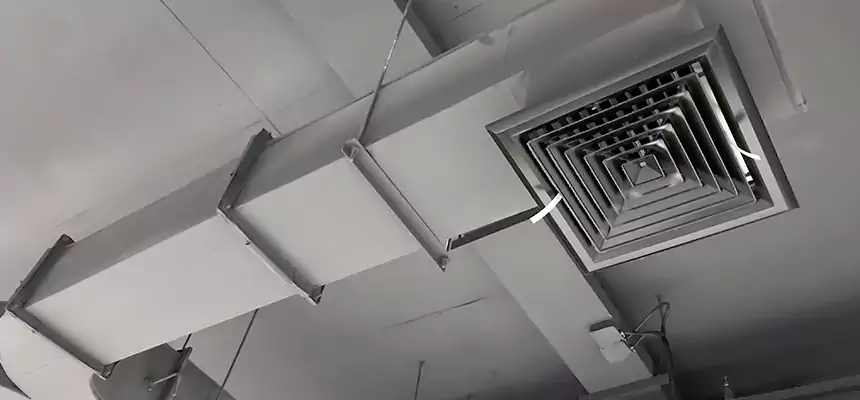 Restorative Allergy Relief Vent Cleaning – Coil, Blower & Housing Detail in Makakilo