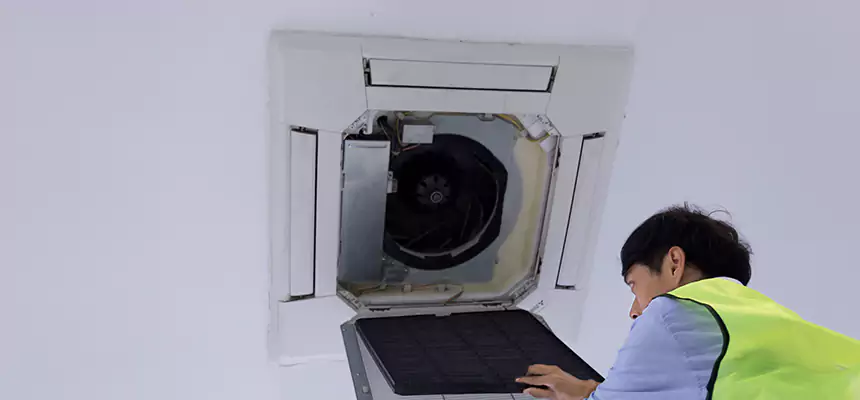 Our Dryer Vent Sanitization Service Services in Makakilo, HI