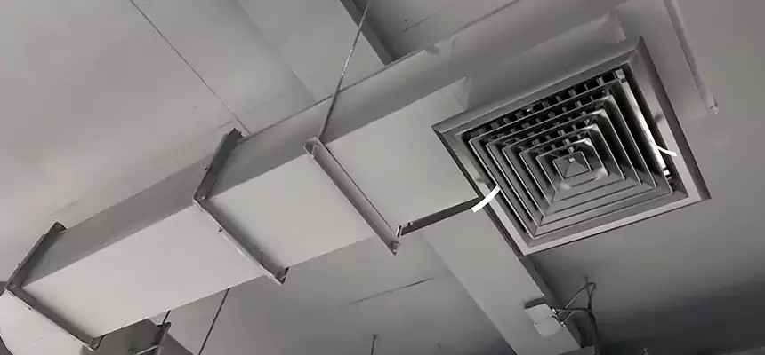 Our Pest Removal From Ducts Services in Makakilo, HI