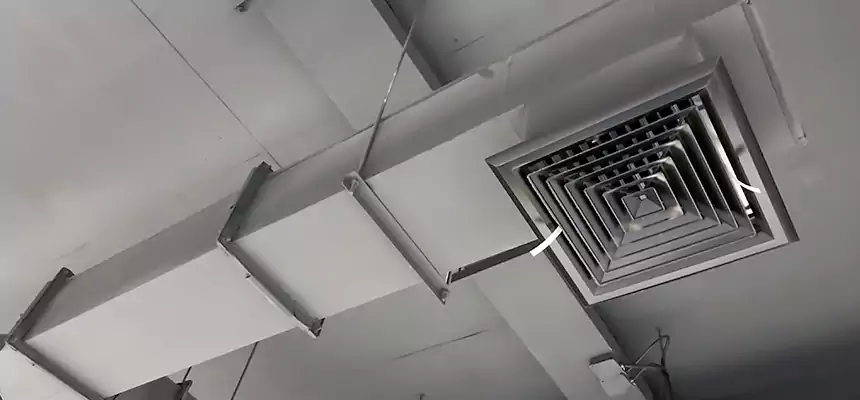 Our Rodent Droppings In Vents Services in Makakilo, HI