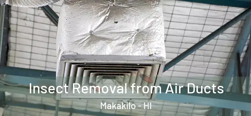  Insect Removal from Air Ducts Makakilo - HI