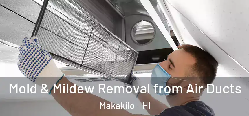  Mold & Mildew Removal from Air Ducts Makakilo - HI