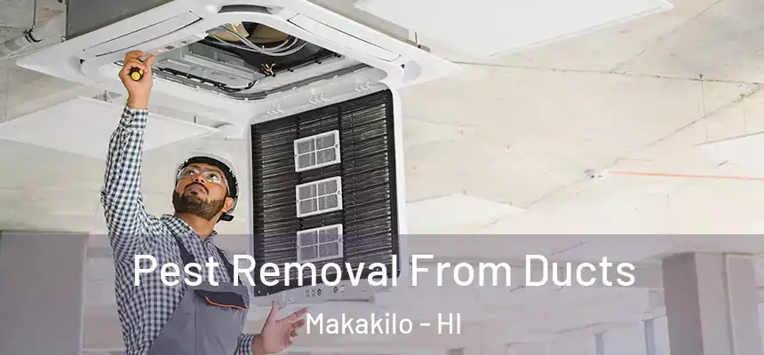  Pest Removal From Ducts Makakilo - HI