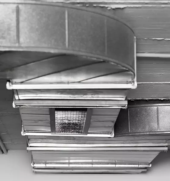 Professional Air Duct Pest Removal in Makakilo, HI