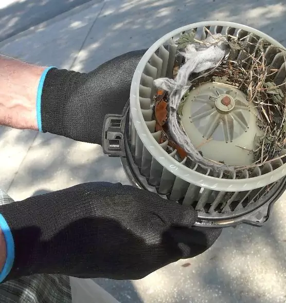 About Air Duct Rat Removal in Makakilo, HI