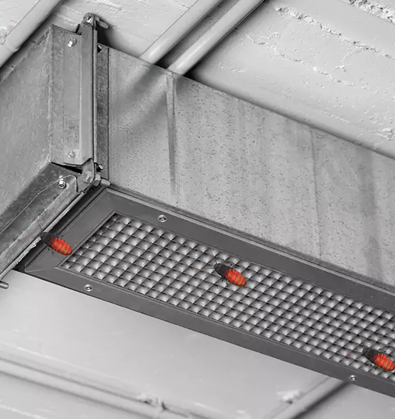 Affordable Insect Removal from Air Ducts in Makakilo, HI