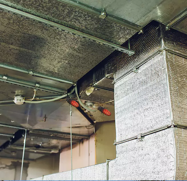 Why Homeowners & Businesses Trust Us in Makakilo, HI?