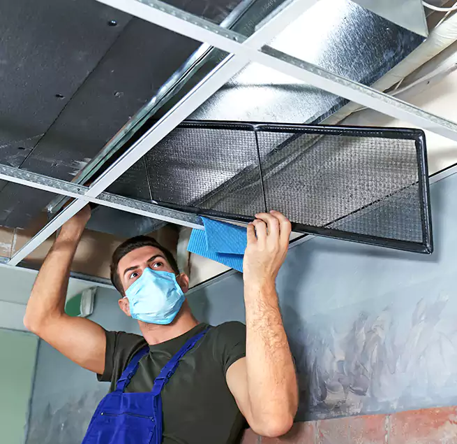 Why Homeowners Businesses Trust Us in Makakilo, HI