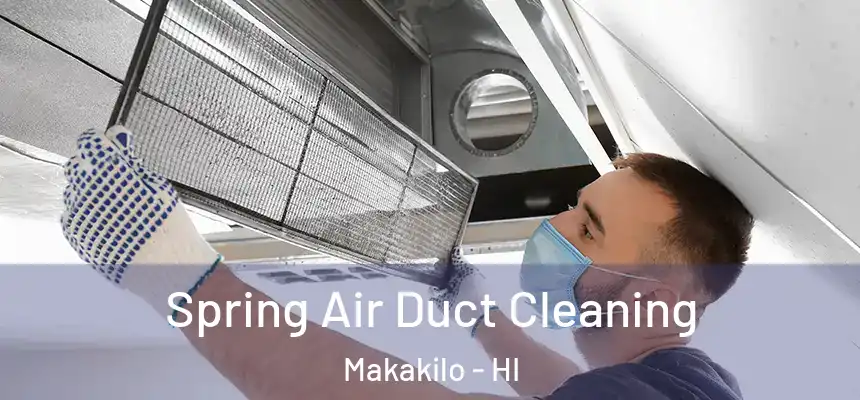  Spring Air Duct Cleaning Makakilo - HI